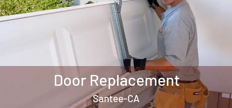  Door Replacement Santee-CA