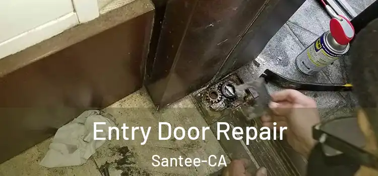  Entry Door Repair Santee-CA