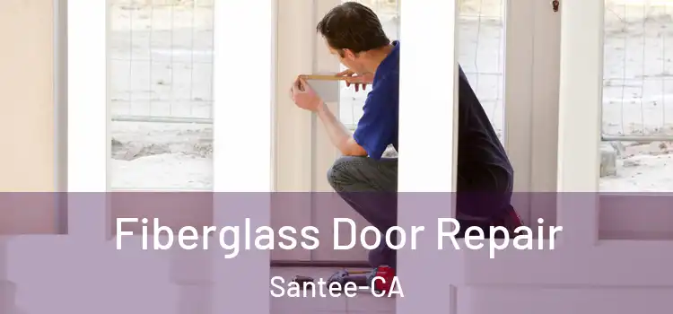 Fiberglass Door Repair Santee-CA