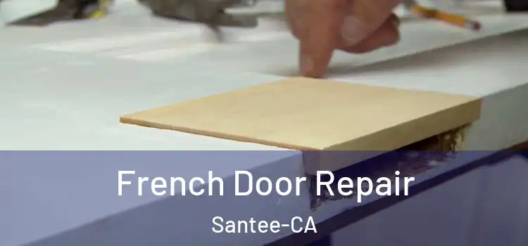 French Door Repair Santee-CA
