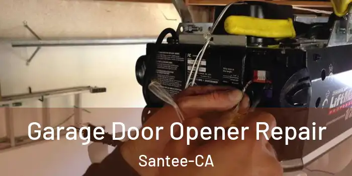  Garage Door Opener Repair Santee-CA