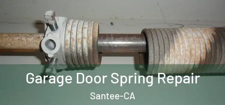 Garage Door Spring Repair Santee-CA