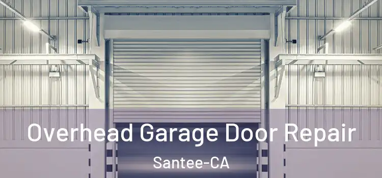  Overhead Garage Door Repair Santee-CA